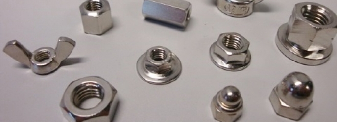 Stainless steel nuts